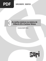 suplemento_cassiana_zamith