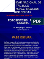 Fotosíntesis Fase Oscura Ex.