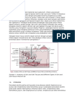 Presus Selulitis