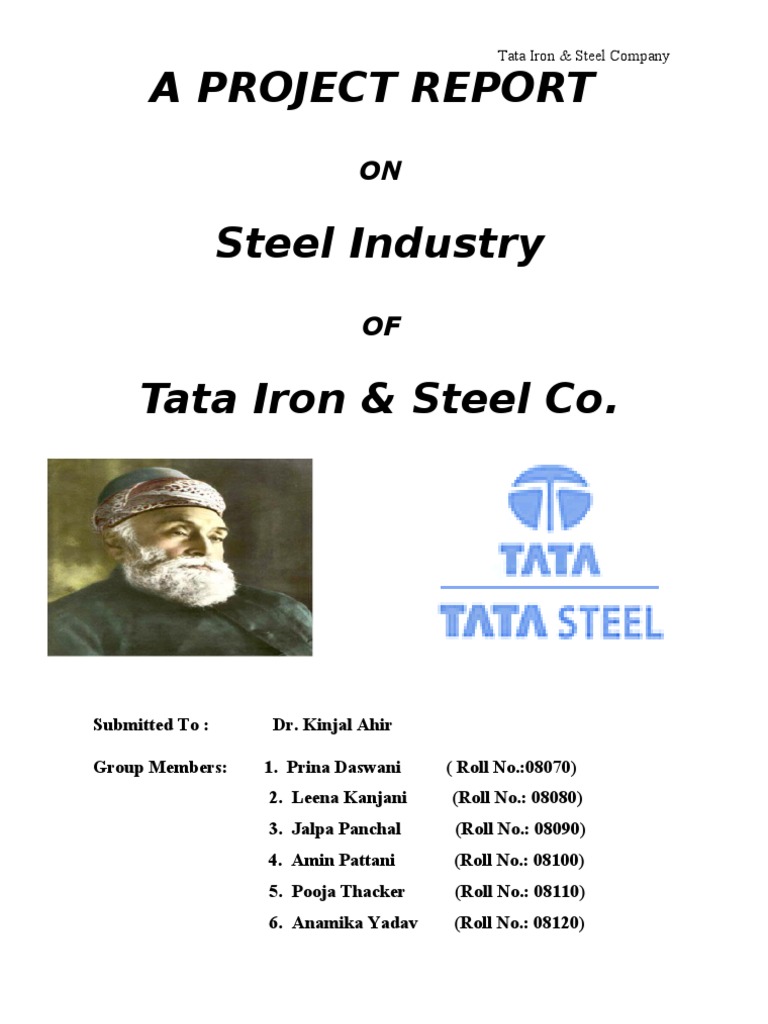 Tata Steel Company Overview Report | PDF | Economic Growth | Corporate ...