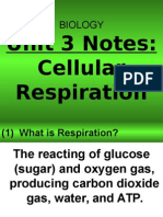 Cellular Respiration Lecture