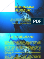 Gillnet Milenium P.agung