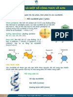 Một số công thức về cấu trúc ADN