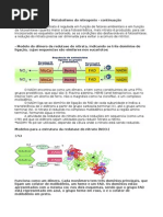 Assimilação do Nitrato e do Amonio