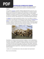 TUPA de la Dirección Regional de Salud Junín | PDF | Justicia