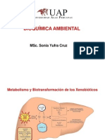 4.1. BQMA (Metabolismo y Biotransformación de Xenobióticos)