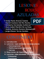 Seminario - Lesiones Rojas - Final