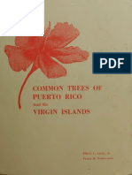 Common Trees of Puerto