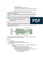 RE Golgi PDF
