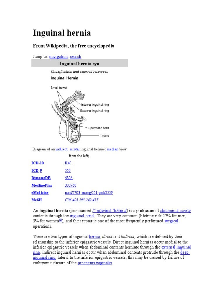 Inguinal Hernia | Medical Specialties | Diseases And Disorders