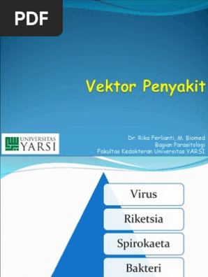 Vektor Penyakit Ppt