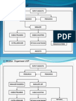 Rencana Struktur Organisasi KSP