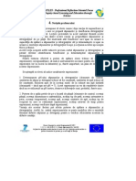 GherghiceanuNicoleta 4 PDF