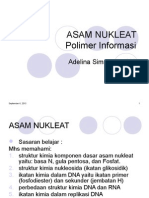 ASAM NUKLEAT