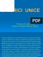 biserici_unice_Cos_4.3