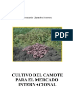 Cultivo Del Camote