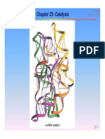 Catalysis UCSB - Chapter 23 PDF