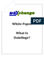 White Paper - What is DataStage