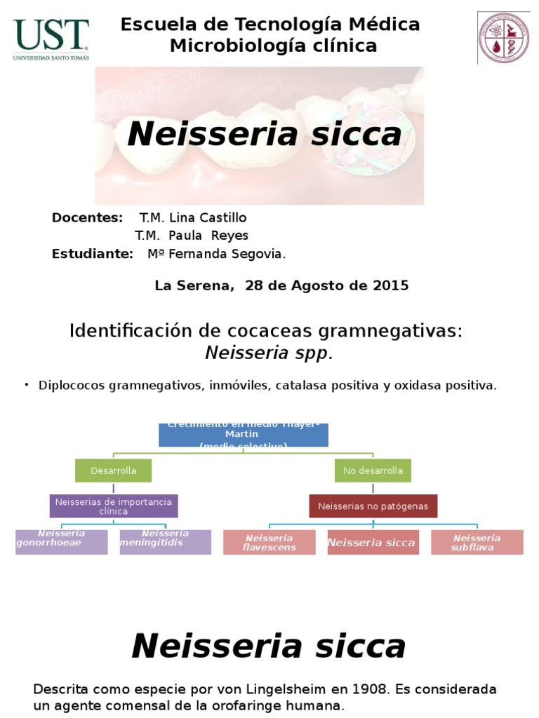 Neisseria Sicca | PDF | Biología | Microbiología