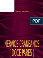 nervios craneales.ppt