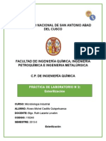 Informe de Laboratorio de Microbiologia Industrial 