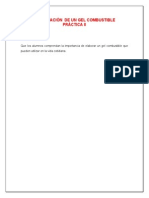 Elaboración de Un Gel Combustible Práctica 8