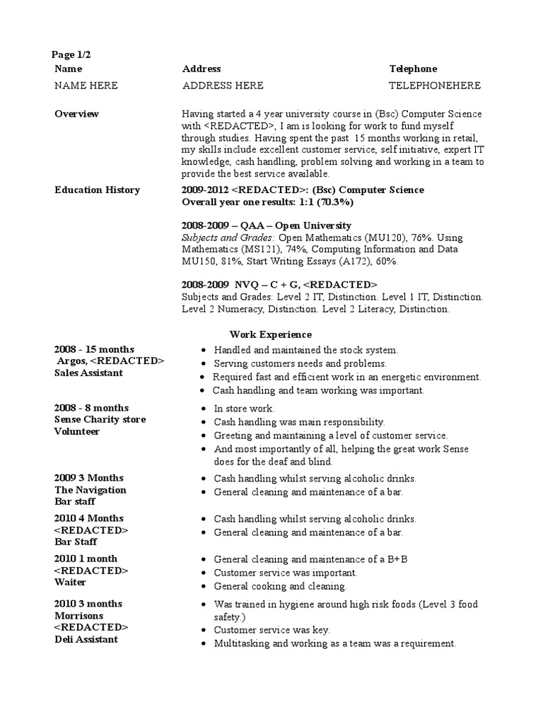 Computer Science Student CV | PDF | Computing | Computing And ...