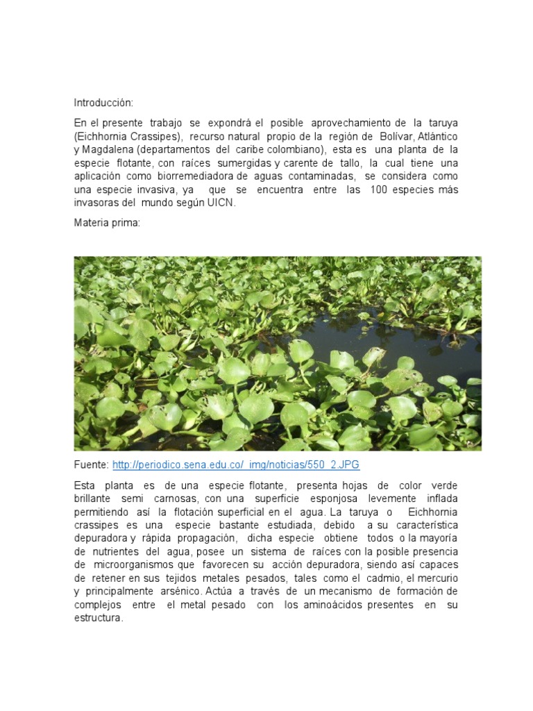 Taruya | PDF | Ciencia y matemáticas