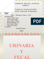 Patrones de eliminación urinaria y fecal