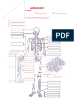 Skeleton Skeleton: Worksheet