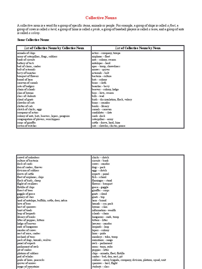 GRAMMAR Collective Nouns Lion Domesticated Animals