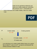 Problema 17 Genetica Mendeliana