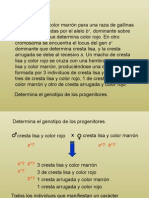 Problema 9 Genetica Mendeliana