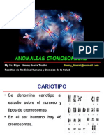 Anomalias Cromosomicas