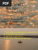 biofloc aquaculture bacteria ammonia