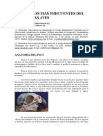 Patologias Mas Frecuentes Pico Aves-2