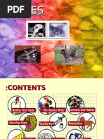Download rabies ppt by plug06 SN27907966 doc pdf