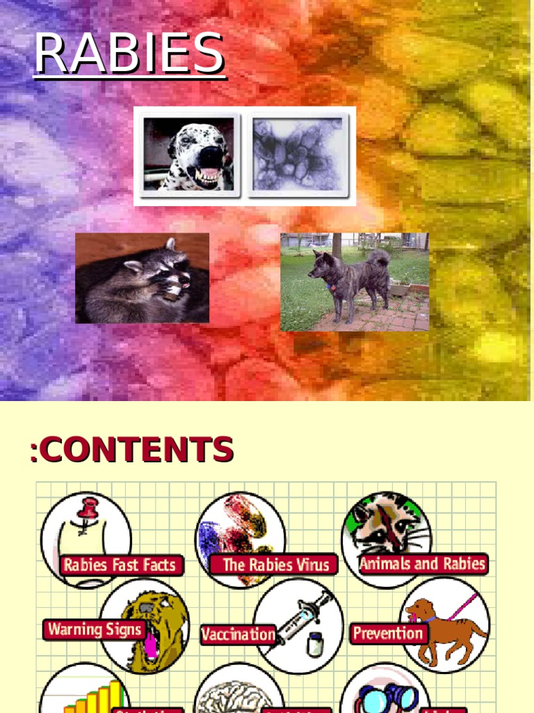 rabies ppt | Rabies | Virus