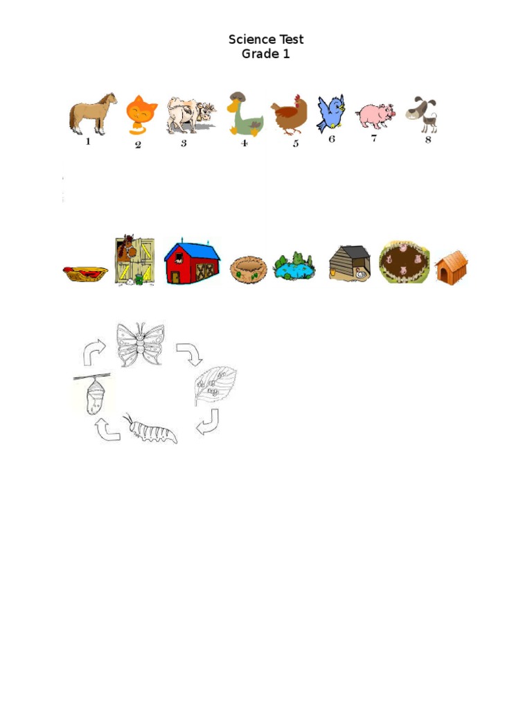 worksheet of science grade 2