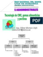 Presentacion3 Tecnologia de Cmcgomas y Pectinas