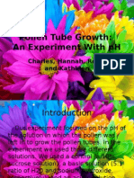 Pollen Tube Growth Presentation