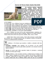 "El Cuidado de Cachorros de Perros Guía" 4 EP-Texto Expositivo