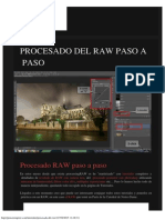 Procesado Raw