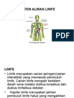 Sistem Limfatik