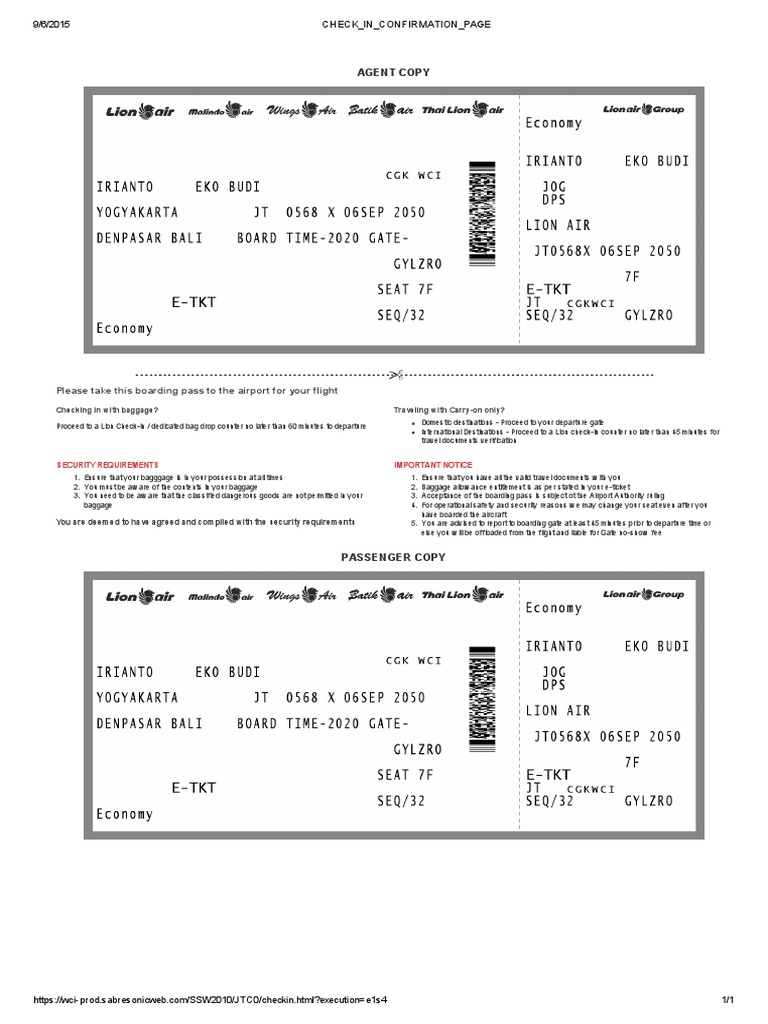 Flight Check-In and Baggage Guidelines | PDF