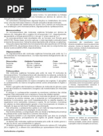 03 Carboidratos e Lipidios