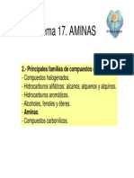 135664592-Tema17-Aminas.pdf