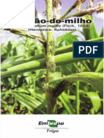 Milho Pulgao 2 PDF