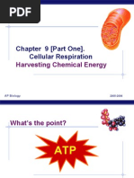 Chapter 9 (Part One) - Cellular Respiration: Harvesting Chemical Energy