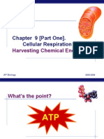 Chapter 9 (Part One) - Cellular Respiration: Harvesting Chemical Energy